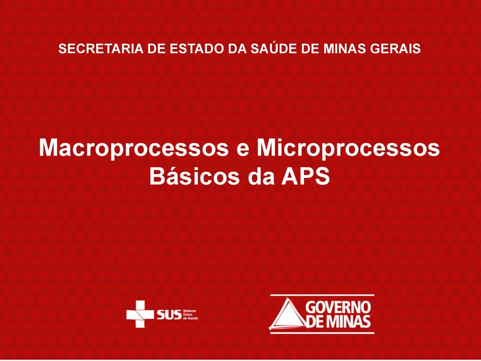 GERAIS Macroprocessos