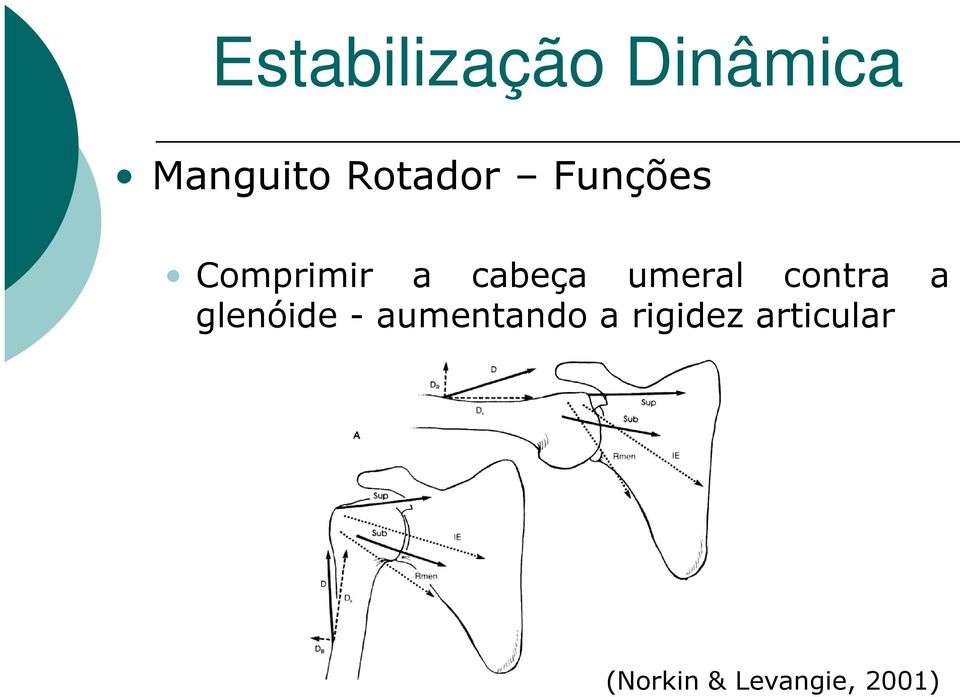 umeral contra a glenóide - aumentando