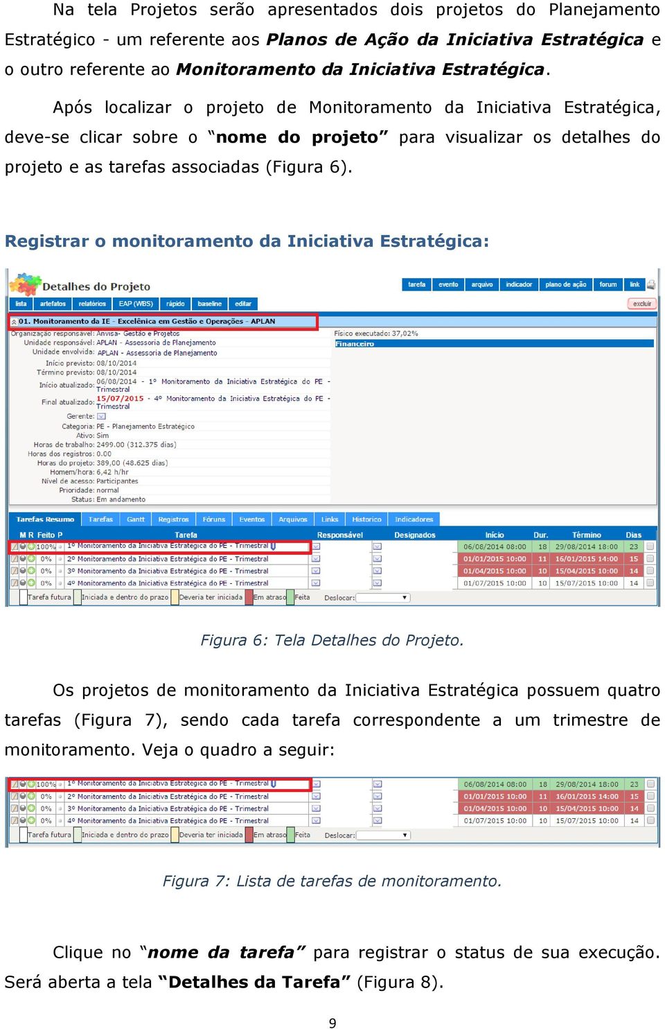 Registrar o monitoramento da Iniciativa Estratégica: Figura 6: Tela Detalhes do Projeto.