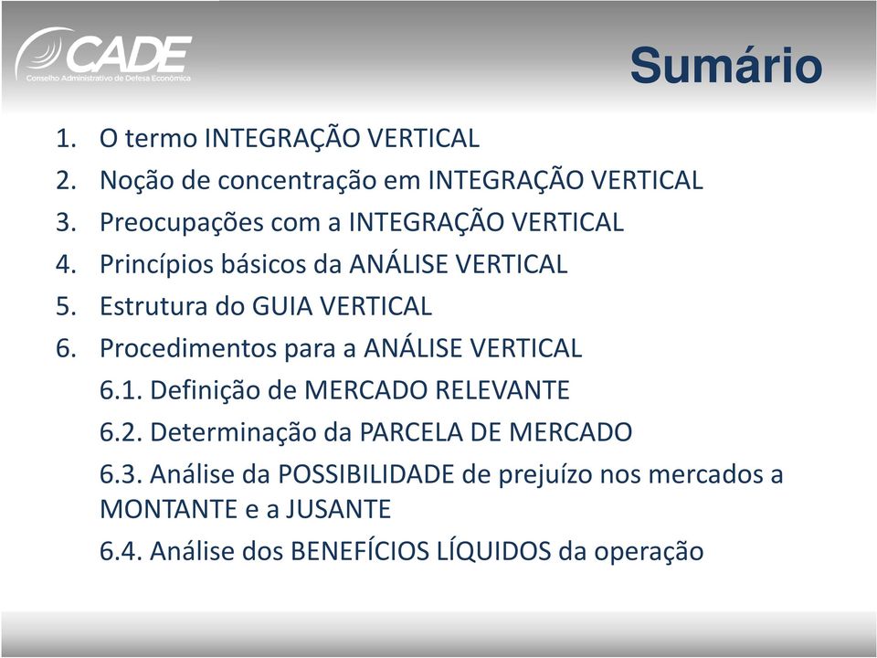 Estrutura do GUIA VERTICAL 6. Procedimentos para a ANÁLISE VERTICAL 6.1. Definição de MERCADO RELEVANTE 6.2.