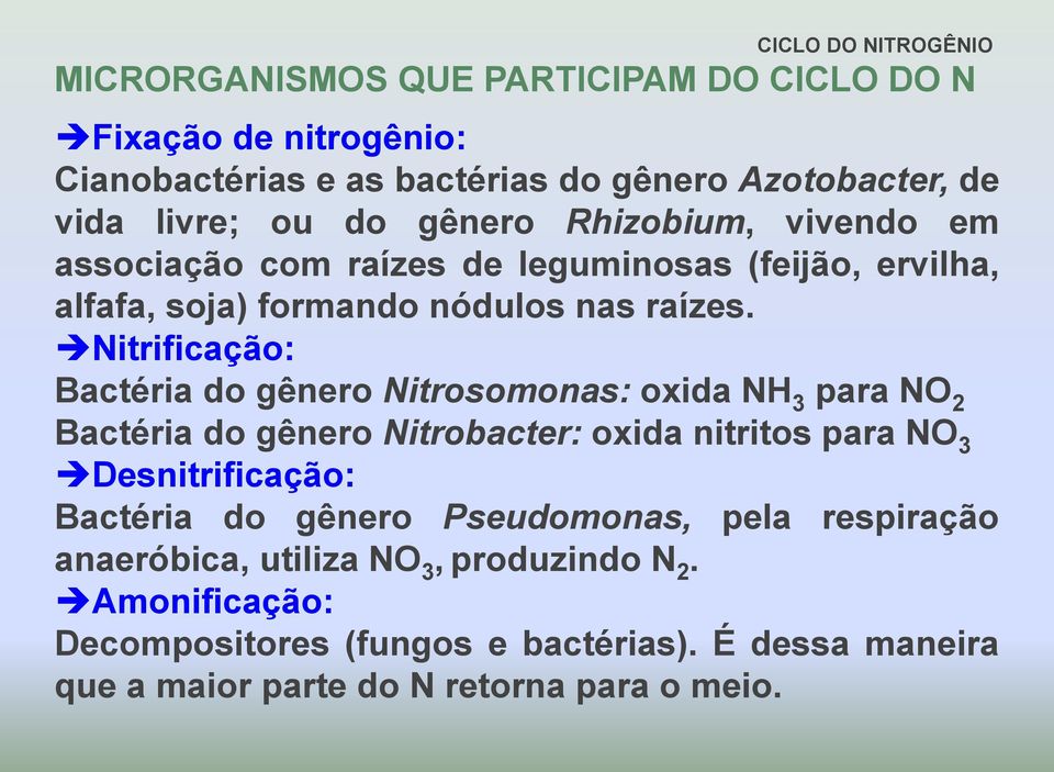 Nitrificação: Bactéria do gênero Nitrosomonas: oxida NH 3 para NO 2 Bactéria do gênero Nitrobacter: oxida nitritos para NO 3 Desnitrificação: Bactéria do