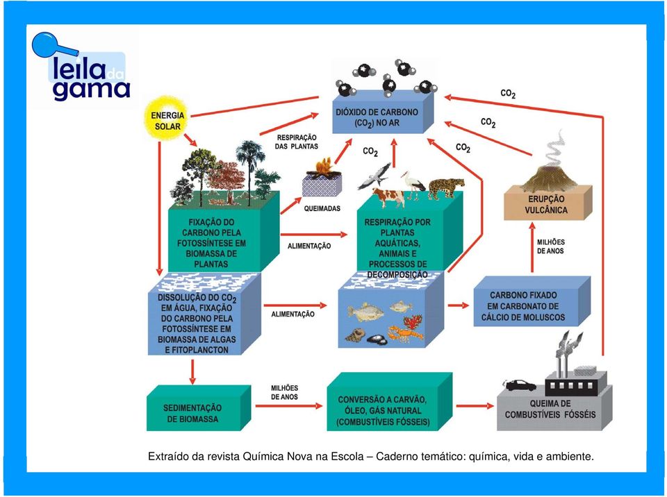 Escola Caderno