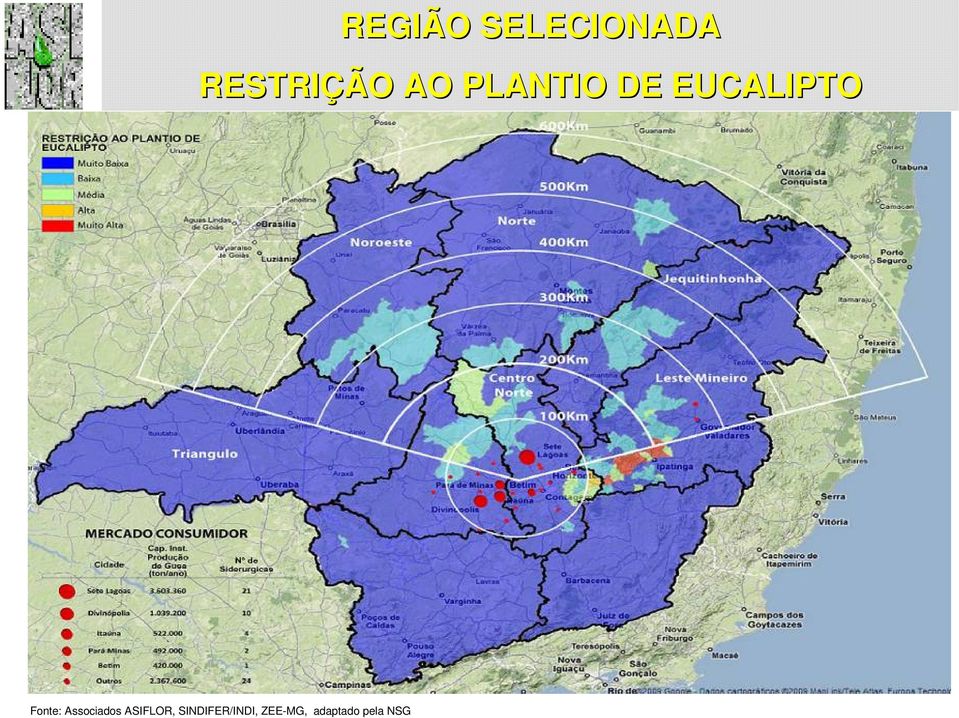 Fonte: Associados ASIFLOR,