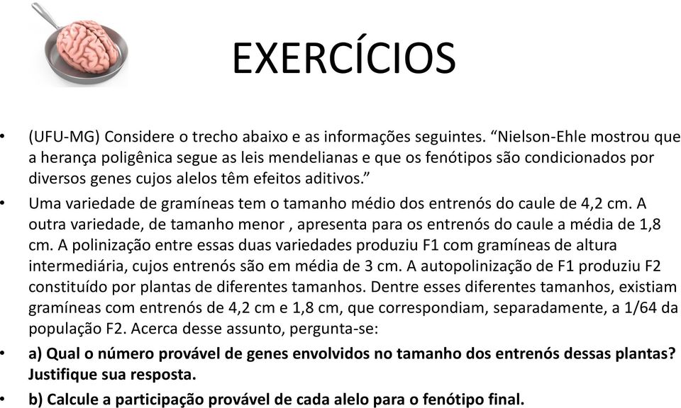 Uma variedade de gramíneas tem o tamanho médio dos entrenós do caule de 4,2 cm. A outra variedade, de tamanho menor, apresenta para os entrenós do caule a média de 1,8 cm.