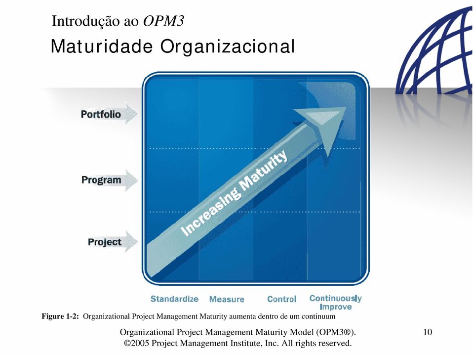 Organizational Project Management