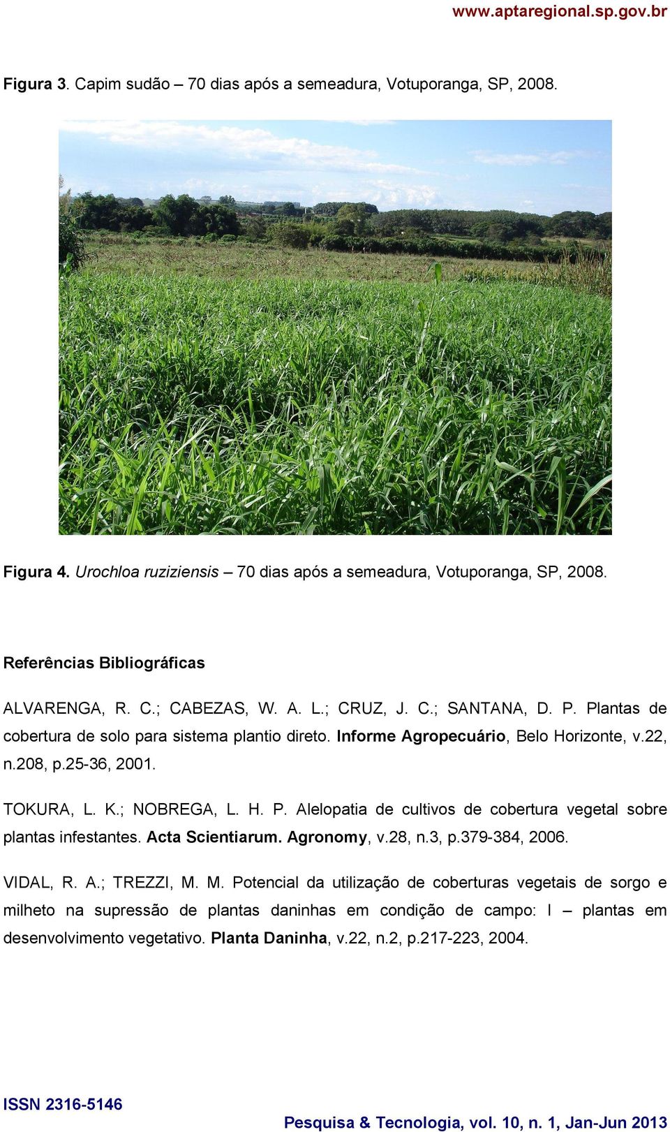 22, n.208, p.25-36, 2001. TOKURA, L. K.; NOBREGA, L. H. P. Alelopatia de cultivos de cobertura vegetal sobre plantas infestantes. Acta Scientiarum. Agronomy, v.28, n.3, p.379-384, 2006.