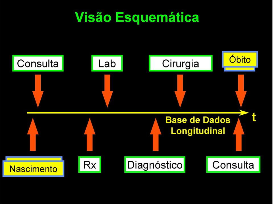 Dados Longitudinal t Matrícula