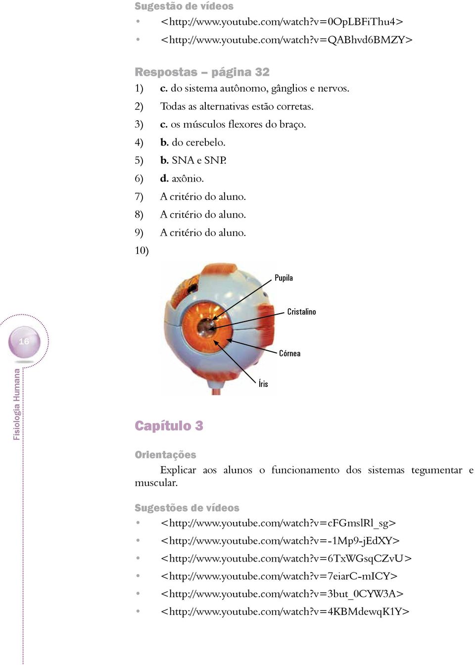 10) Pupila Cristalino 16 Córnea Capítulo 3 Íris Explicar aos alunos o funcionamento dos sistemas tegumentar e muscular. Sugestões de vídeos <http://www.youtube.com/watch?