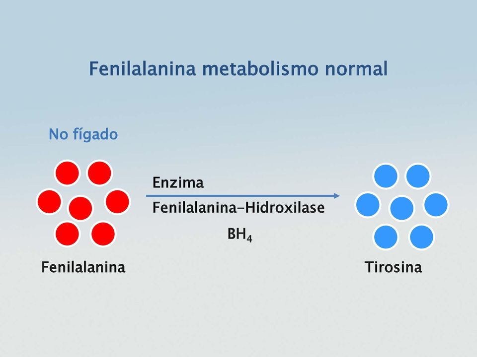 Fenilalanina-Hidroxilase