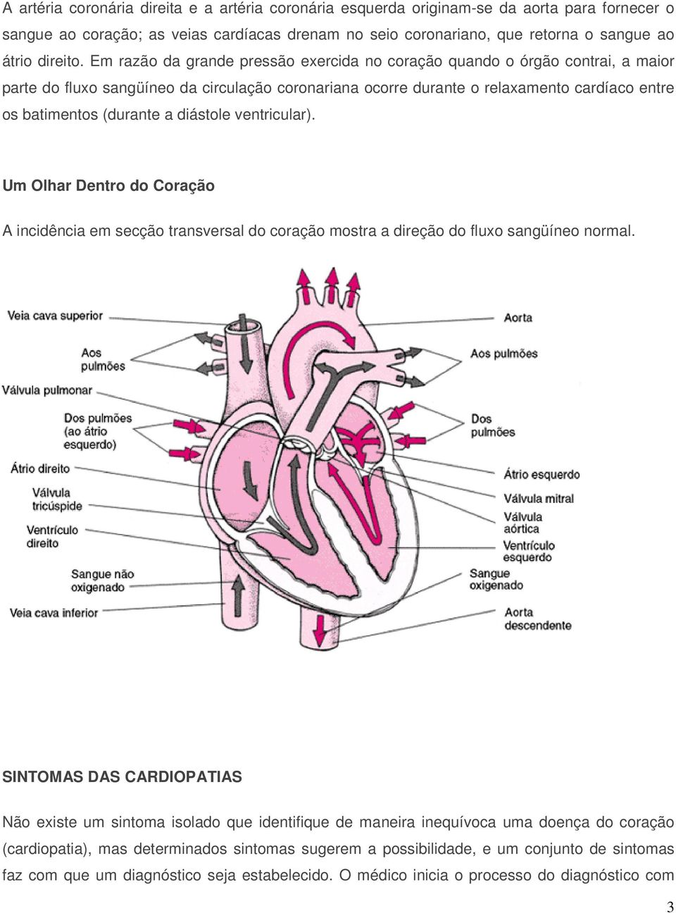 diástole ventricular). Um Olhar Dentro do Coração A incidência em secção transversal do coração mostra a direção do fluxo sangüíneo normal.