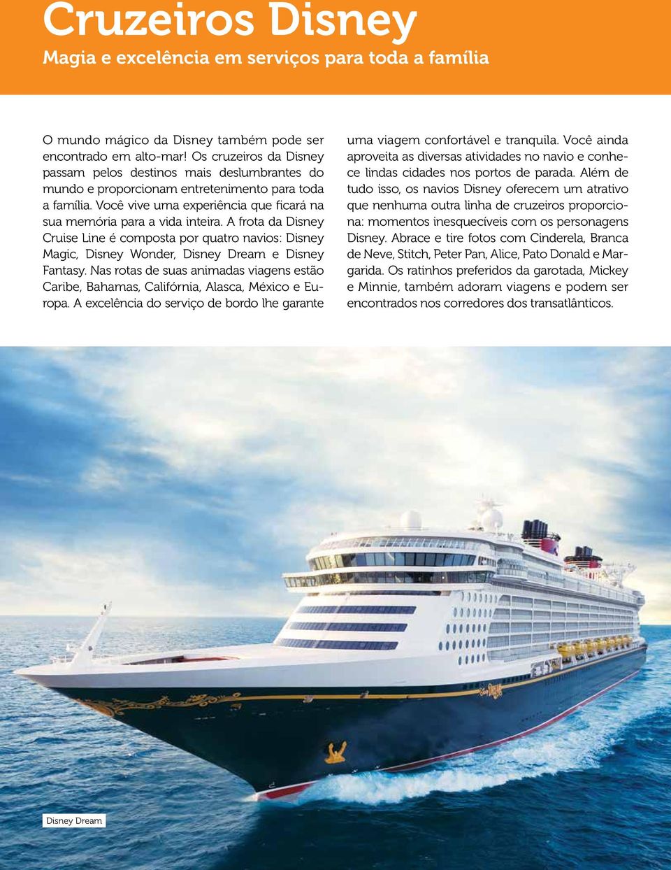 A frota da Disney Cruise Line é composta por quatro navios: Disney Magic, Disney Wonder, Disney Dream e Disney Fantasy.