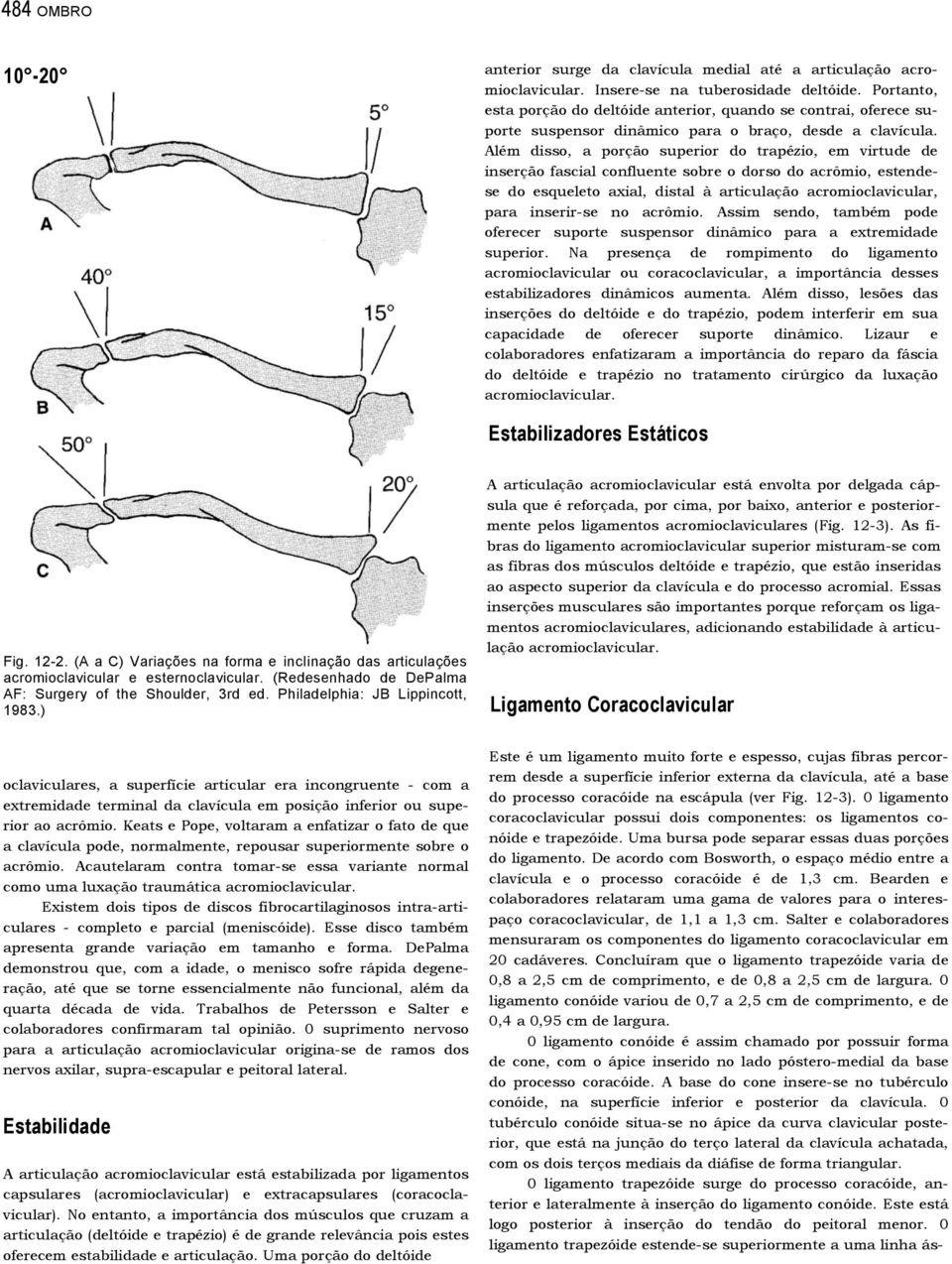 Além disso, a porção superior do trapézio, em virtude de inserção fascial confluente sobre o dorso do acrômio, estendese do esqueleto axial, distal à articulação acromioclavicular, para inserir-se no