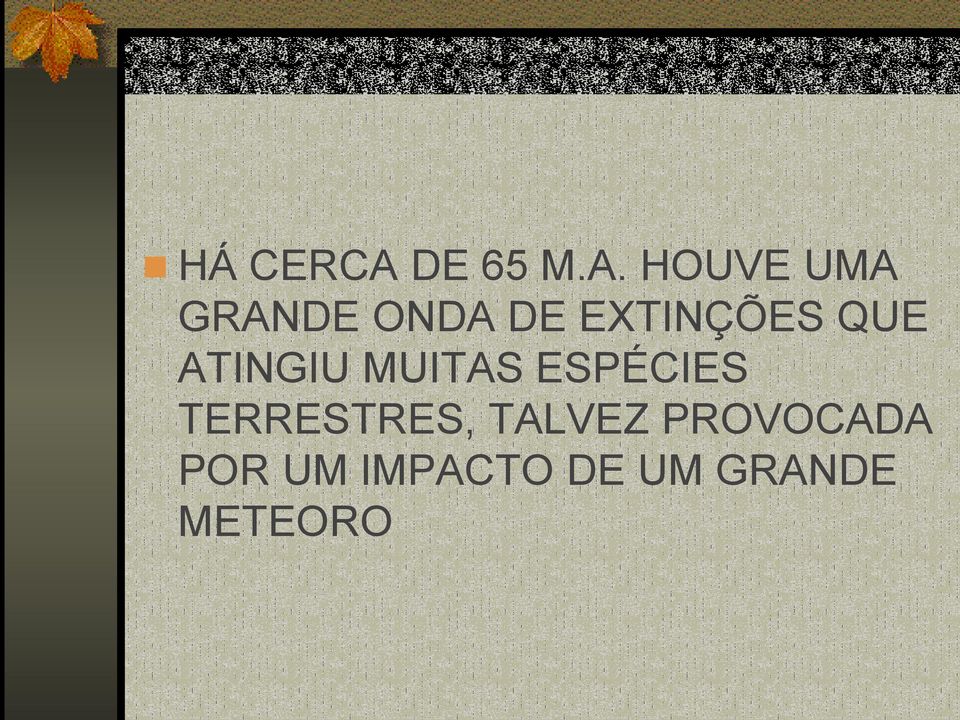 HOUVE UMA GRANDE ONDA DE EXTINÇÕES