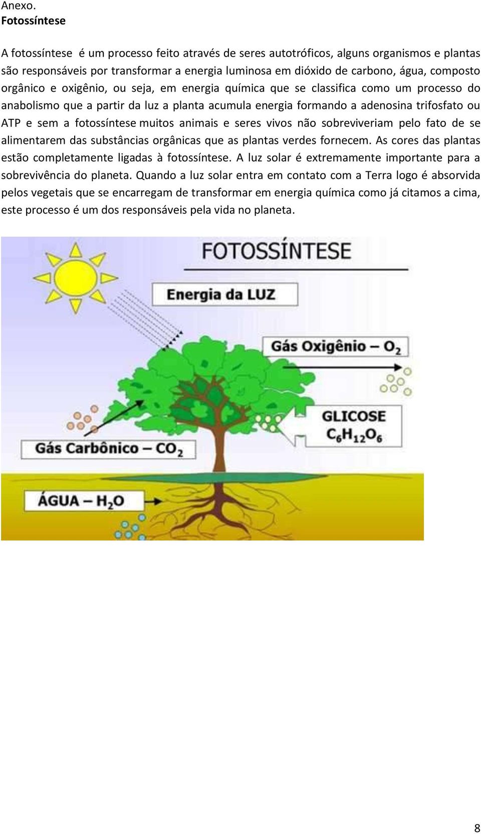 orgânico e oxigênio, ou seja, em energia química que se classifica como um processo do anabolismo que a partir da luz a planta acumula energia formando a adenosina trifosfato ou ATP e sem a