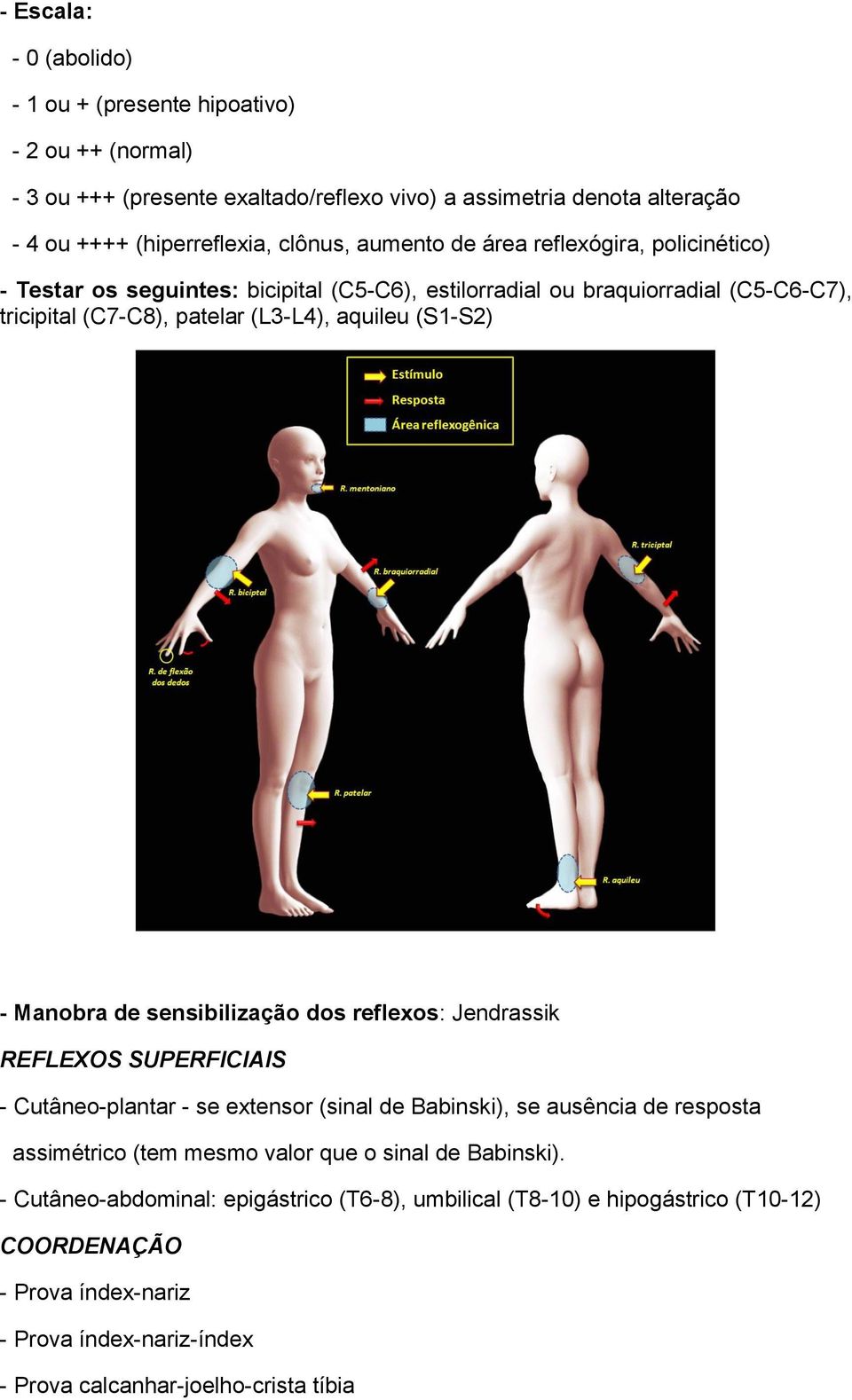 Manobra de sensibilização dos reflexos: Jendrassik REFLEXOS SUPERFICIAIS - Cutâneo-plantar - se extensor (sinal de Babinski), se ausência de resposta assimétrico (tem mesmo valor que o