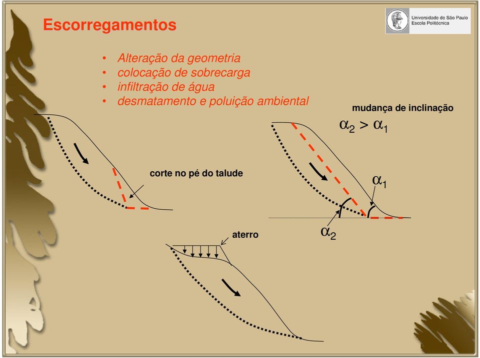 desmatamento e poluição ambiental mudança de