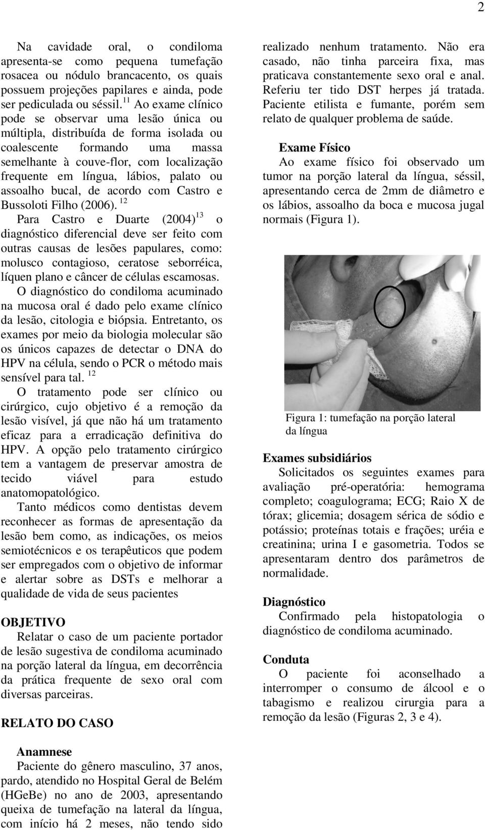 palato ou assoalho bucal, de acordo com Castro e Bussoloti Filho (2006).