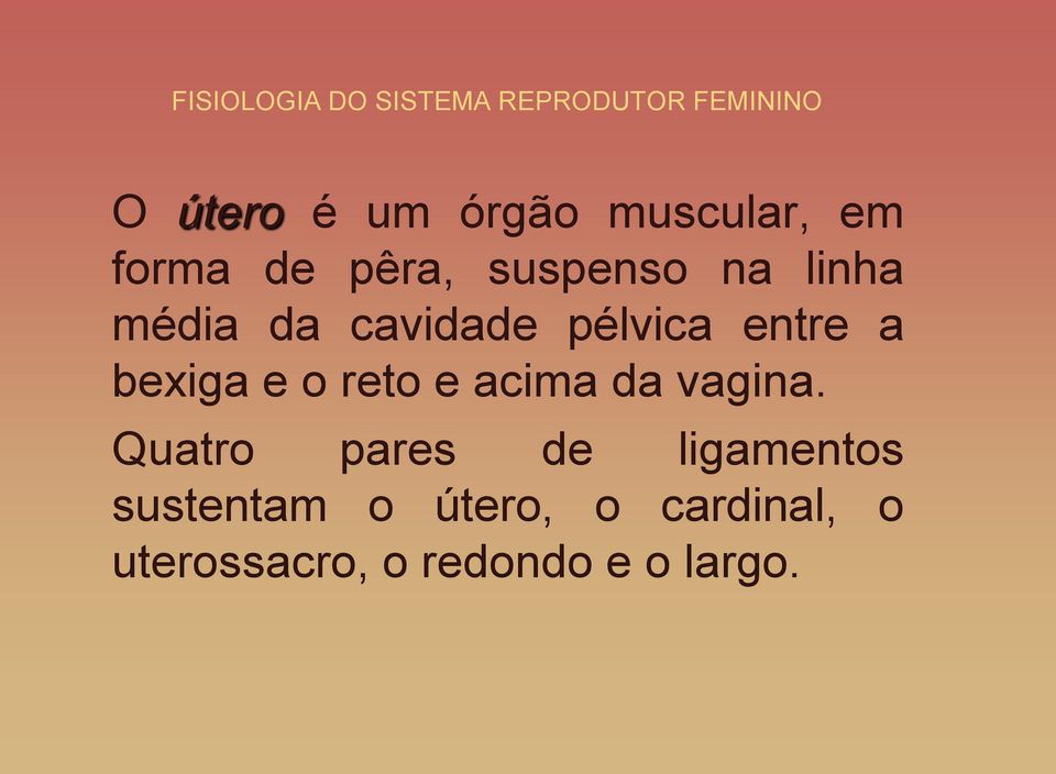 reto e acima da vagina.