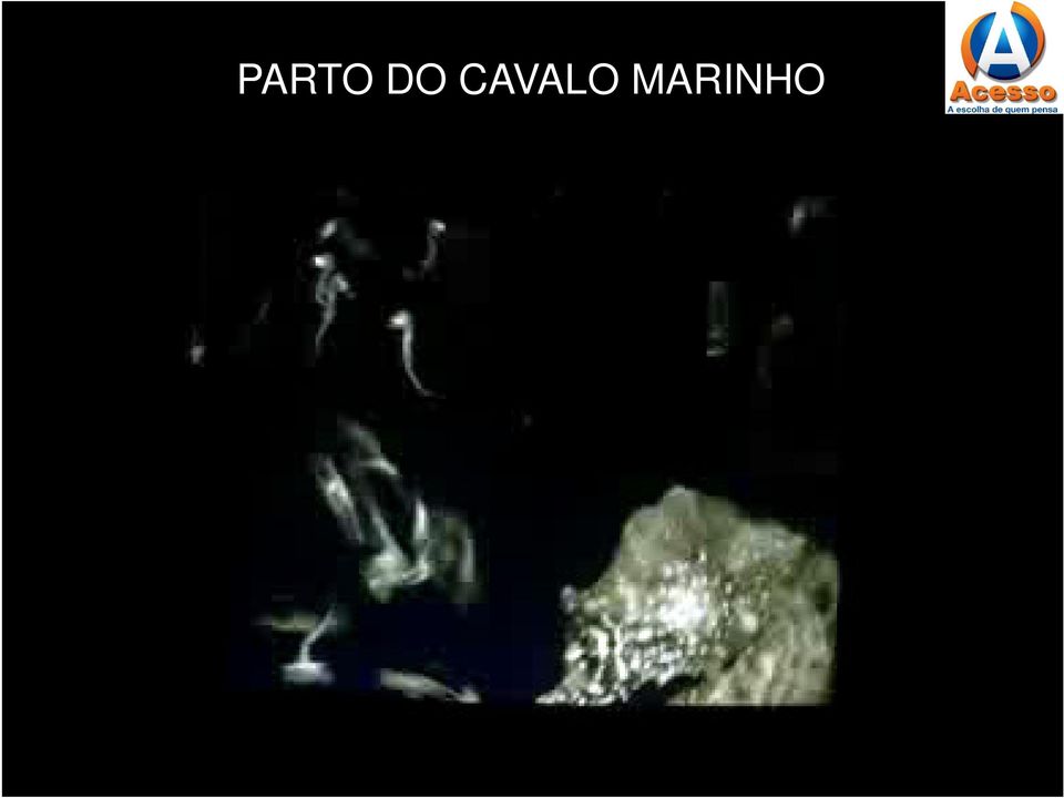 MARINHO