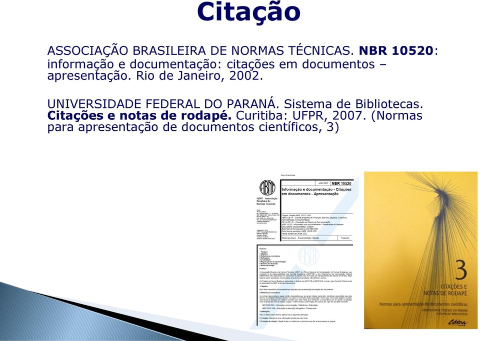 Rio de Janeiro, 2002. UNIVERSIDADE FEDERAL DO PARANÁ. Sistema de Bibliotecas.