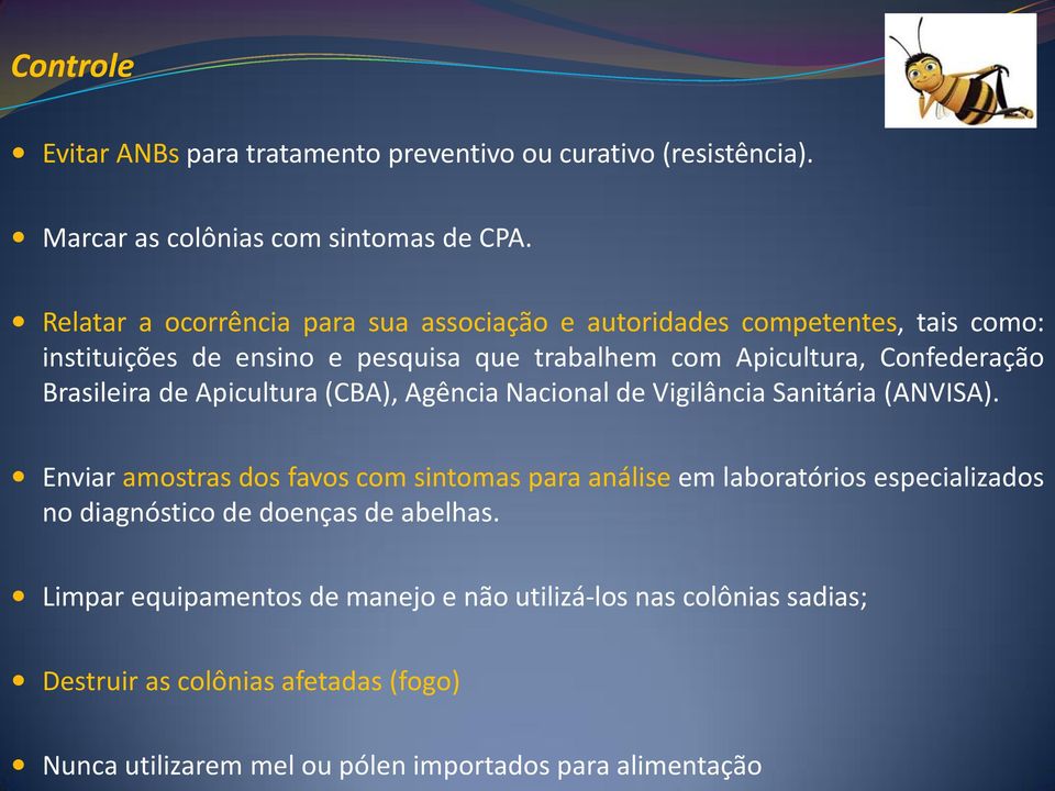 Brasileira de Apicultura (CBA), Agência Nacional de Vigilância Sanitária (ANVISA).