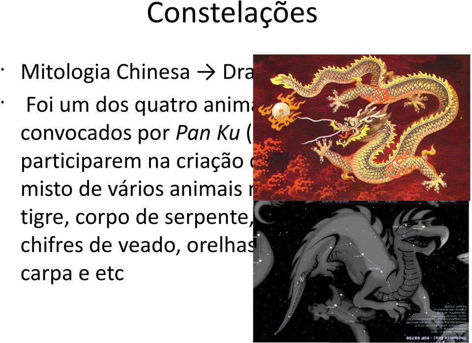 do mundo, sendo um misto de vários animais místicos: Olhos de tigre, corpo