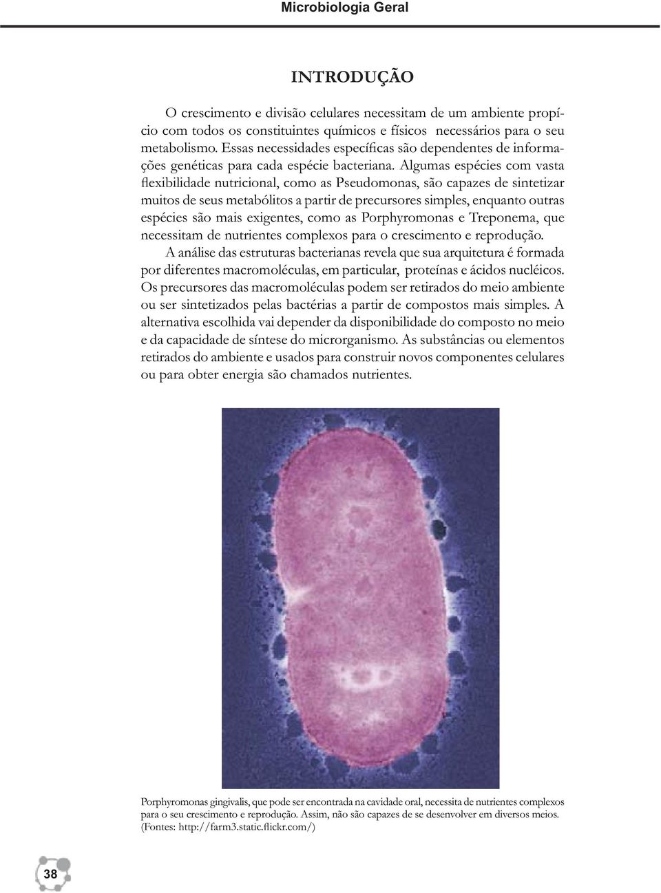 Algumas espécies com vasta flexibilidade nutricional, como as Pseudomonas, são capazes de sintetizar muitos de seus metabólitos a partir de precursores simples, enquanto outras espécies são mais