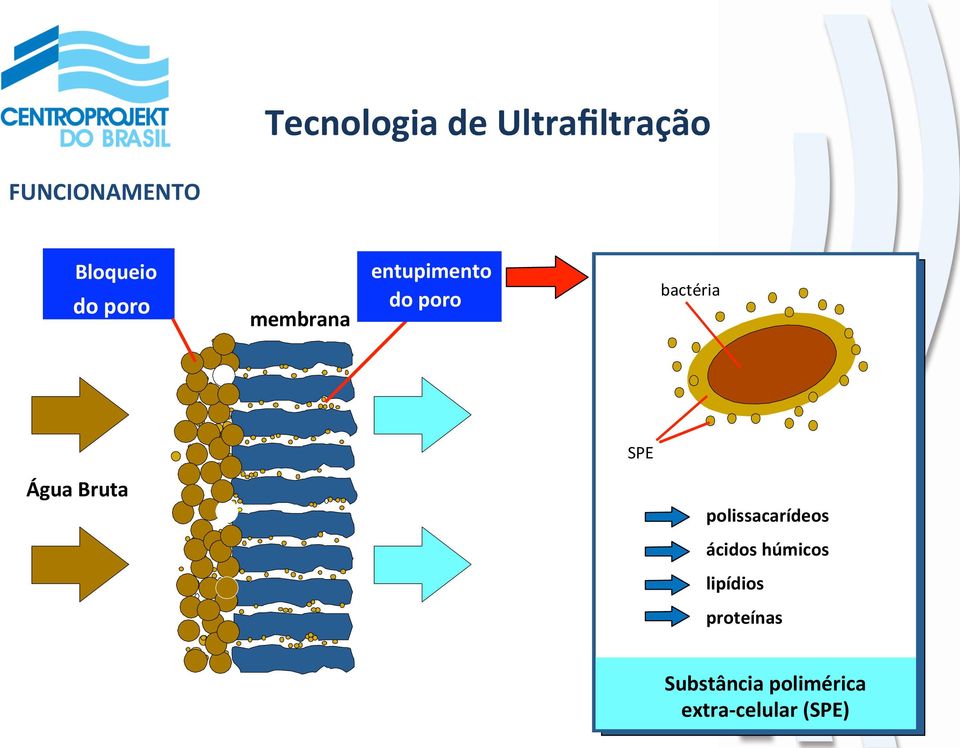 Água Bruta Permeado polissacarídeos ácidos húmicos