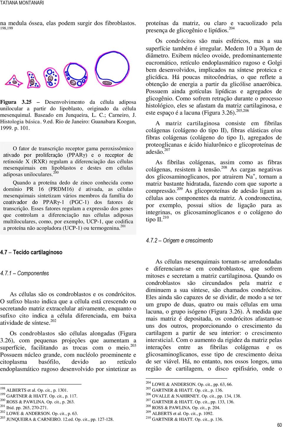 O fator de transcrição receptor gama peroxissômico ativado por proliferação (PPARγ) e o receptor de retinoide X (RXR) regulam a diferenciação das células mesenquimais em lipoblastos e destes em