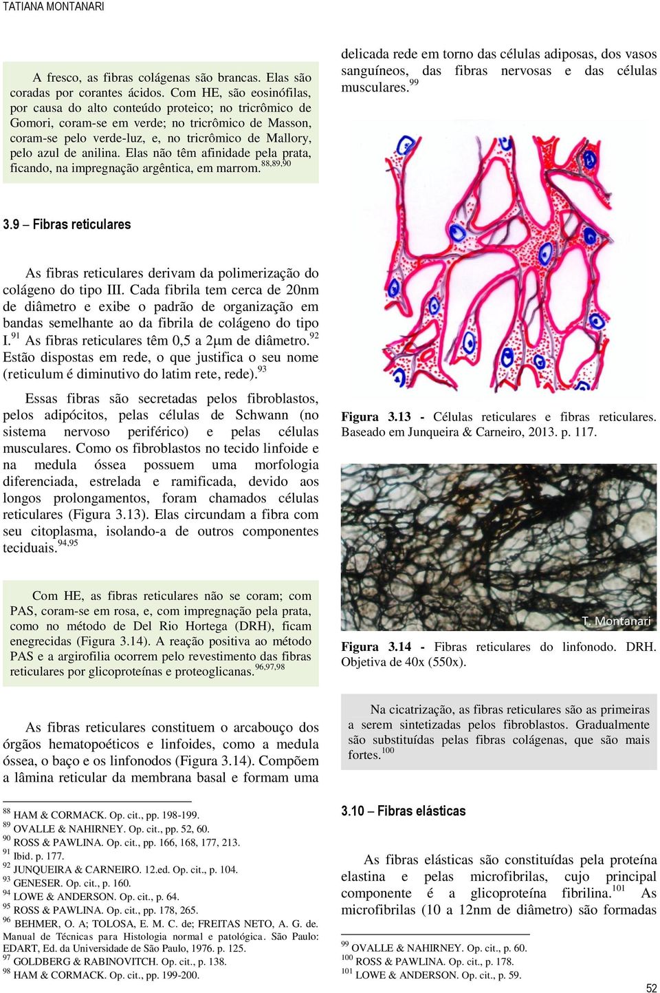 anilina. Elas não têm afinidade pela prata, ficando, na impregnação argêntica, em marrom.