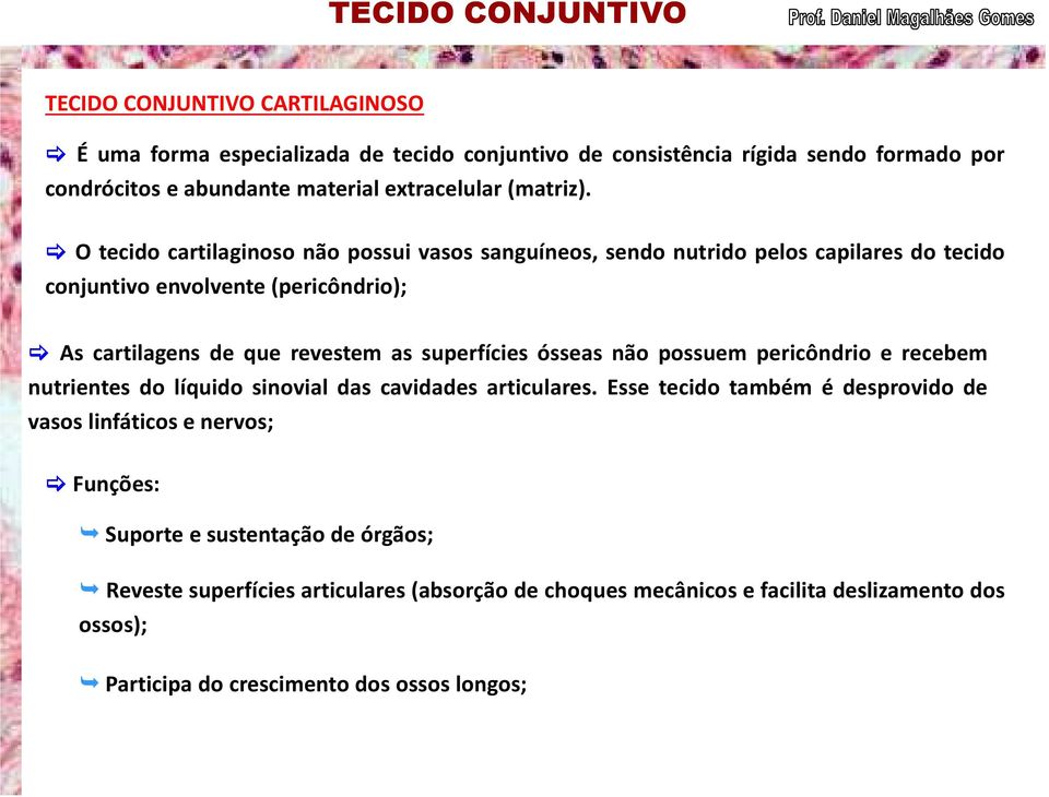 O tecido cartilaginoso não possui vasos sanguíneos, sendo nutrido pelos capilares do tecido conjuntivo envolvente (pericôndrio); As cartilagens de que revestem as