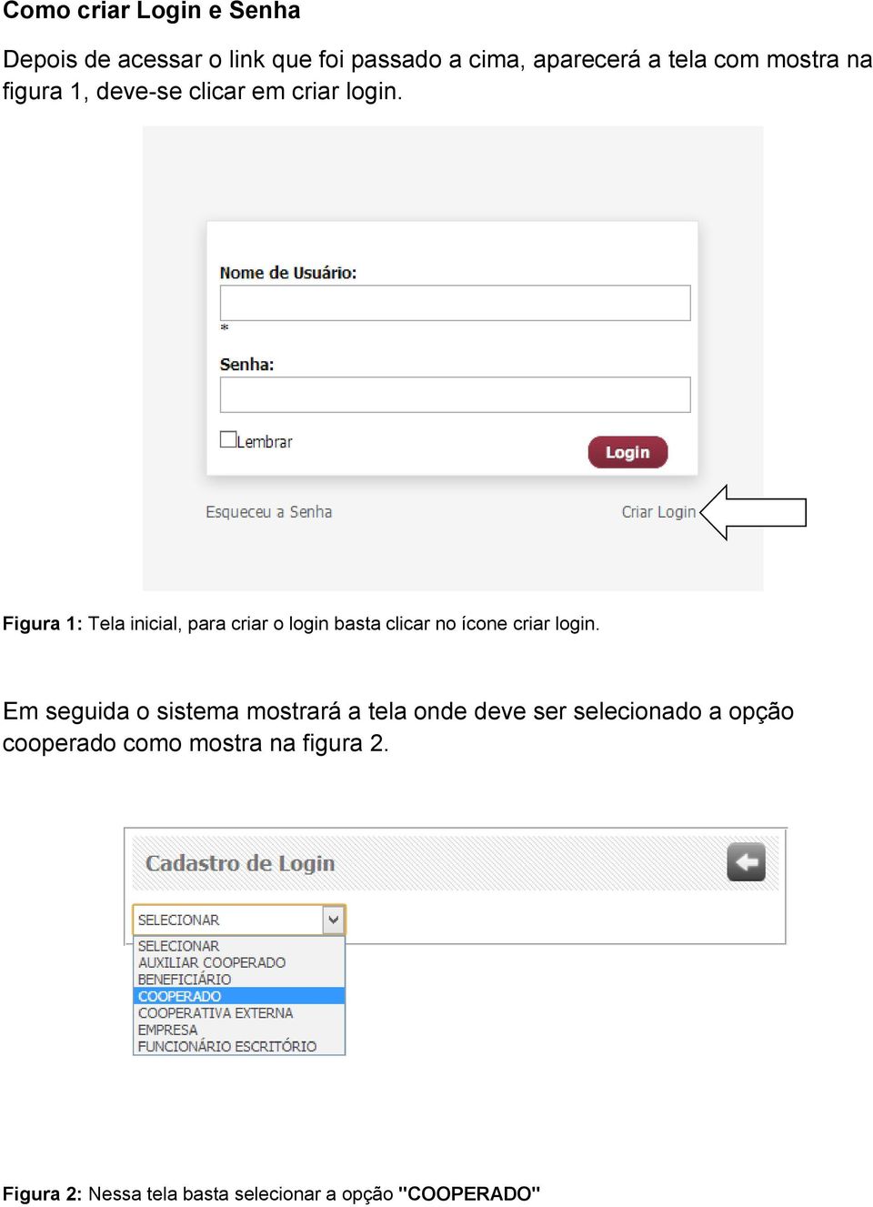 Figura 1: Tela inicial, para criar o login basta clicar no ícone criar login.