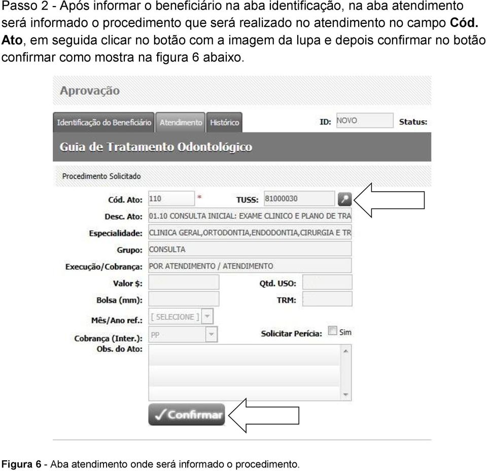 Ato, em seguida clicar no botão com a imagem da lupa e depois confirmar no botão