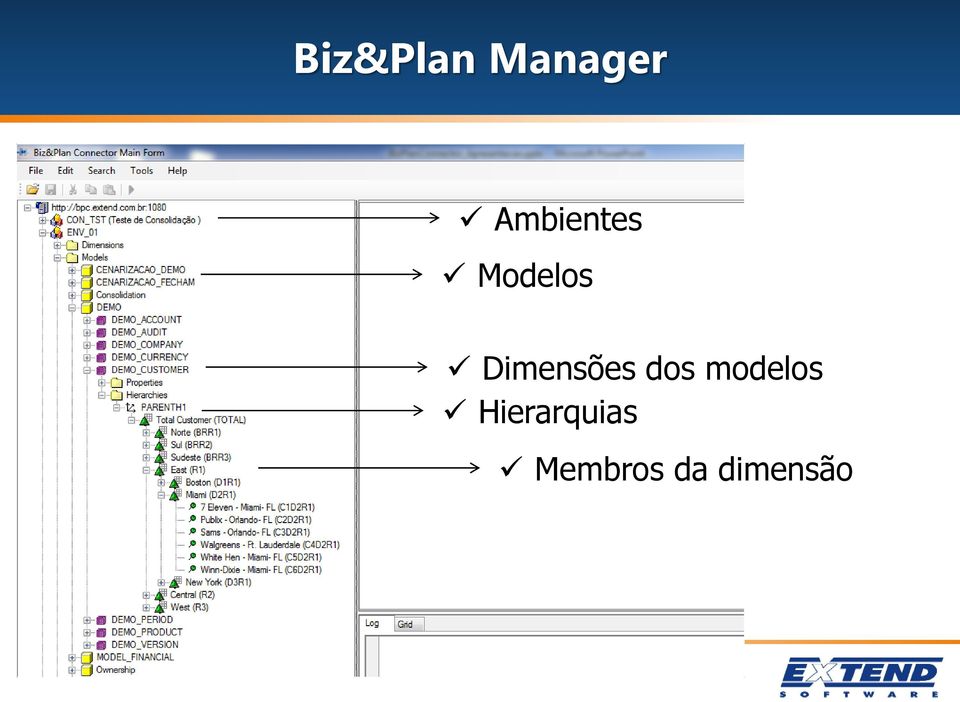 Dimensões dos modelos