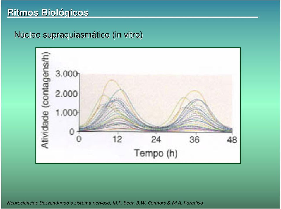 Neurociências-Desvendando o