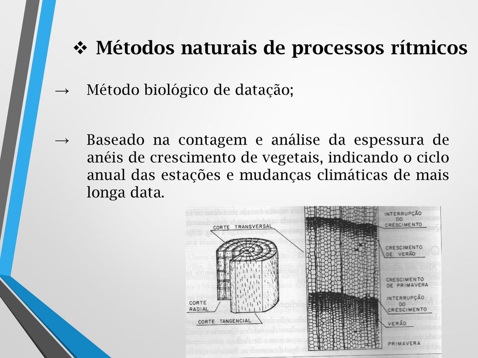 de anéis de crescimento de vegetais, indicando o ciclo