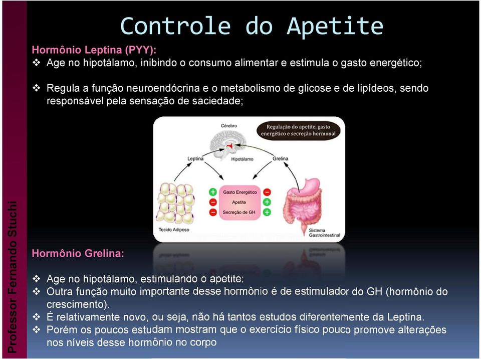 estimulando o apetite: Outra função muito importante desse hormônio é de estimulador do GH (hormônio do crescimento).