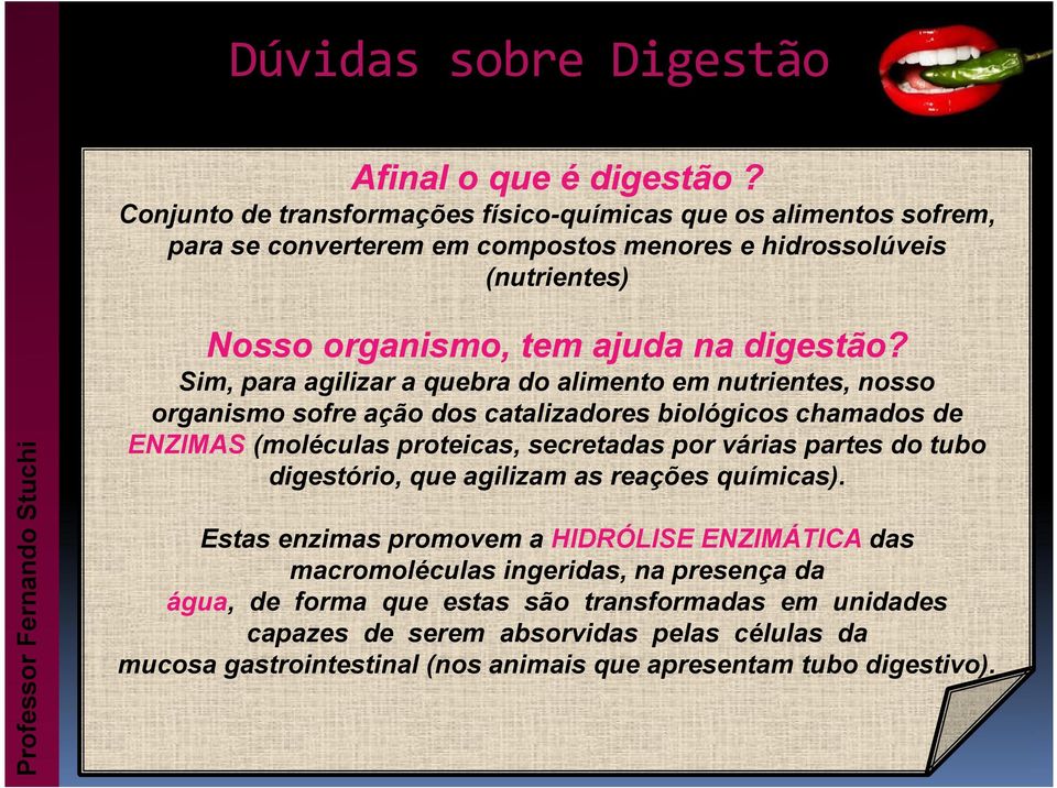 Sim, para agilizar a quebra do alimento em nutrientes, nosso organismo sofre ação dos catalizadores biológicos chamados de ENZIMAS (moléculas proteicas, secretadas por várias