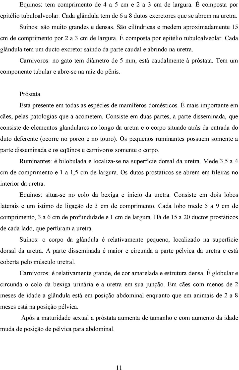 Cada glândula tem um ducto excretor saindo da parte caudal e abrindo na uretra. Carnívoros: no gato tem diâmetro de 5 mm, está caudalmente à próstata.