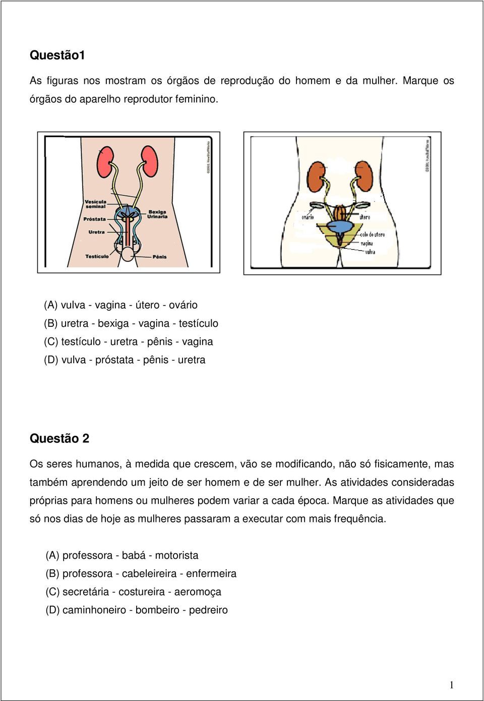 que crescem, vão se modificando, não só fisicamente, mas também aprendendo um jeito de ser homem e de ser mulher.