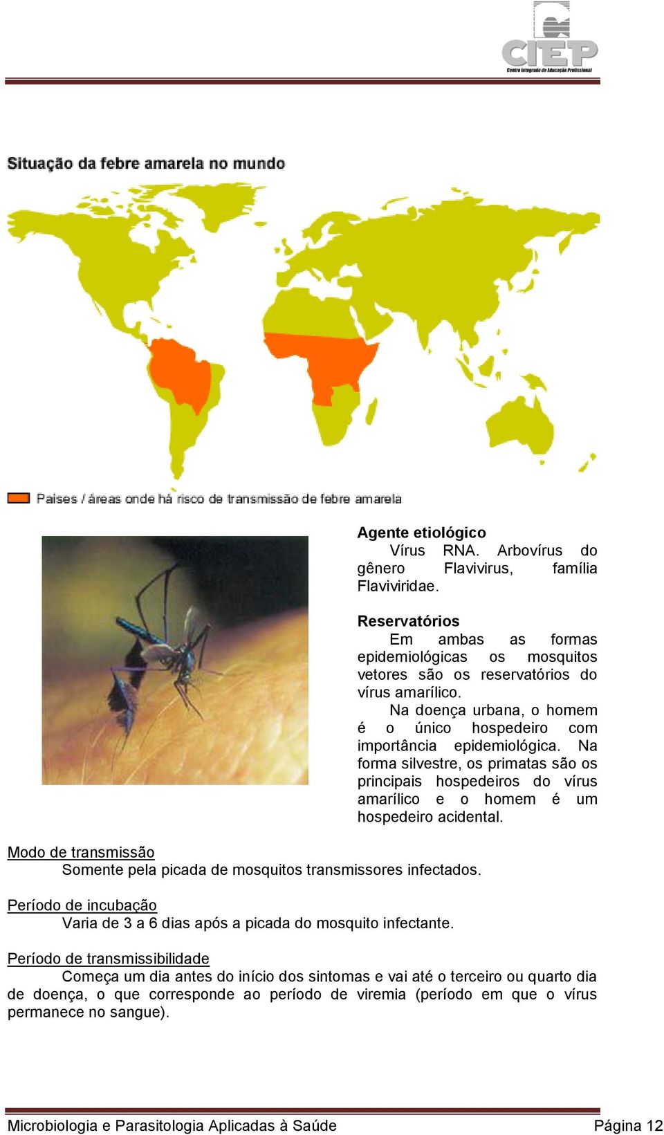 Modo de transmissão Somente pela picada de mosquitos transmissores infectados. Período de incubação Varia de 3 a 6 dias após a picada do mosquito infectante.