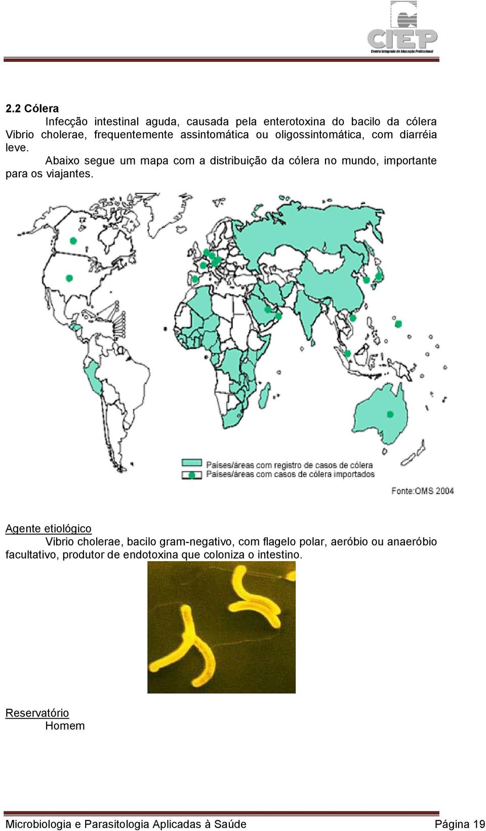 Abaixo segue um mapa com a distribuição da cólera no mundo, importante para os viajantes.