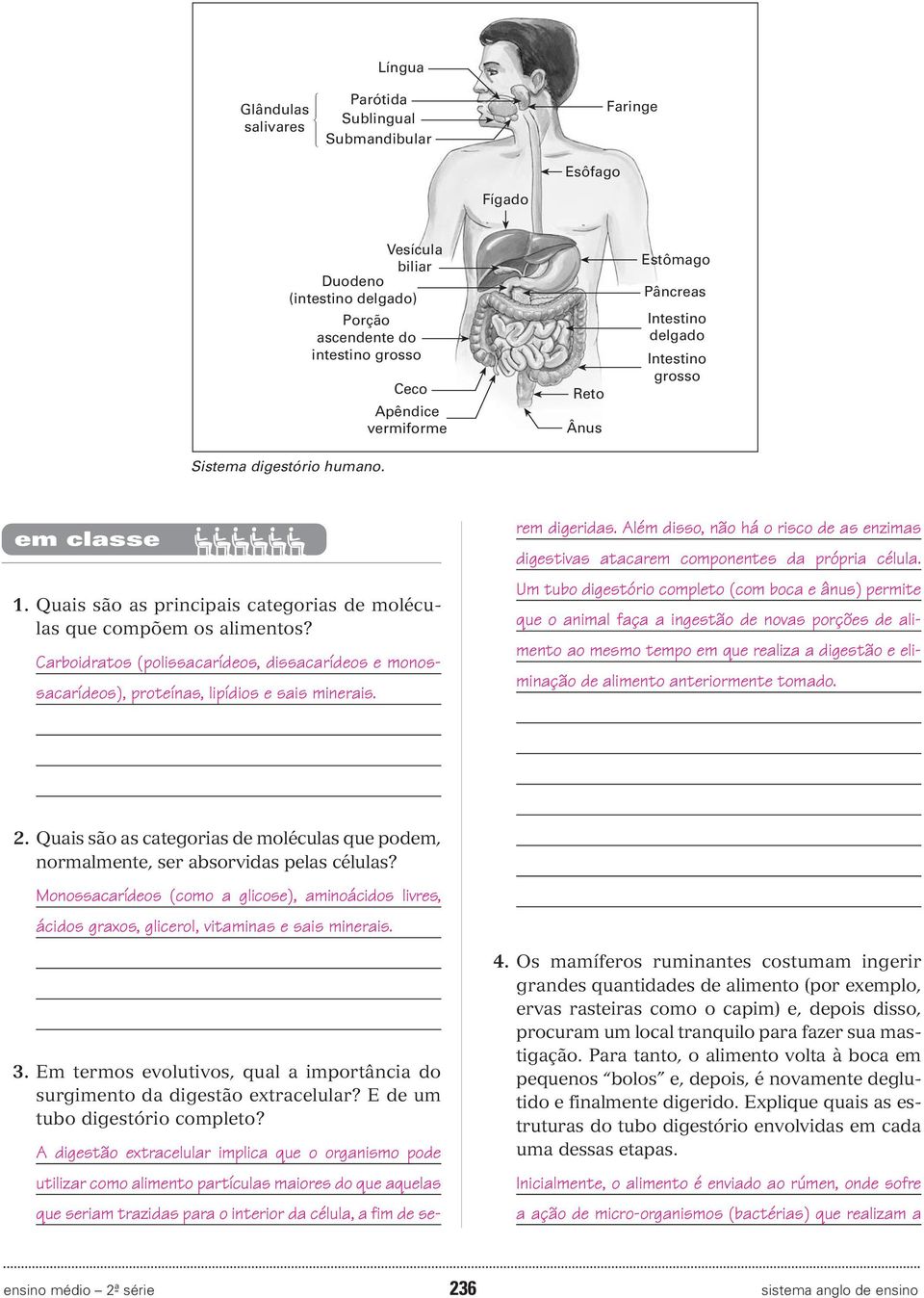 Carboidratos (polissacarídeos, dissacarídeos e monossacarídeos), proteínas, lipídios e sais minerais.