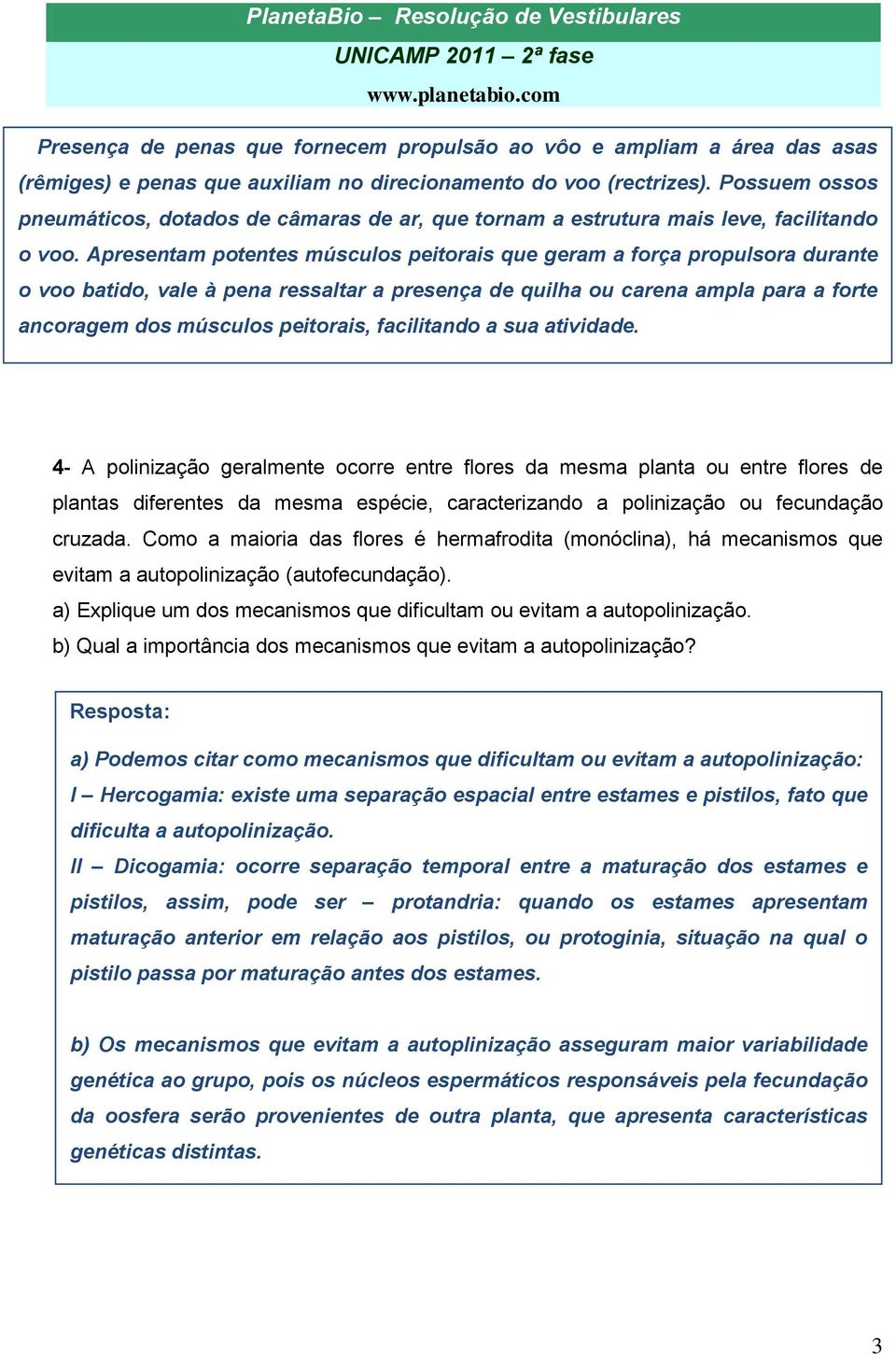 Apresentam potentes músculos peitorais que geram a força propulsora durante o voo batido, vale à pena ressaltar a presença de quilha ou carena ampla para a forte ancoragem dos músculos peitorais,