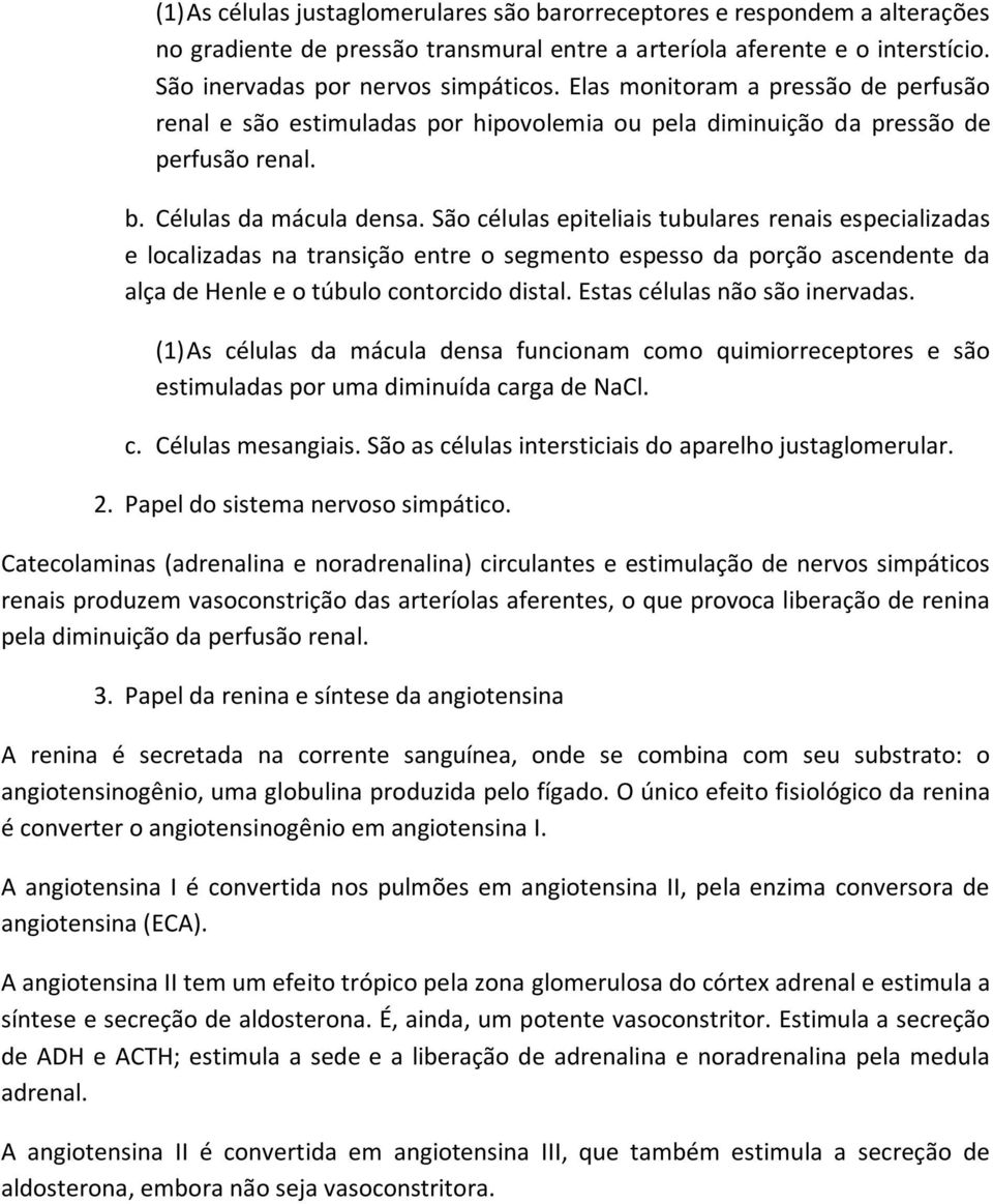 São células epiteliais tubulares renais especializadas e localizadas na transição entre o segmento espesso da porção ascendente da alça de Henle e o túbulo contorcido distal.