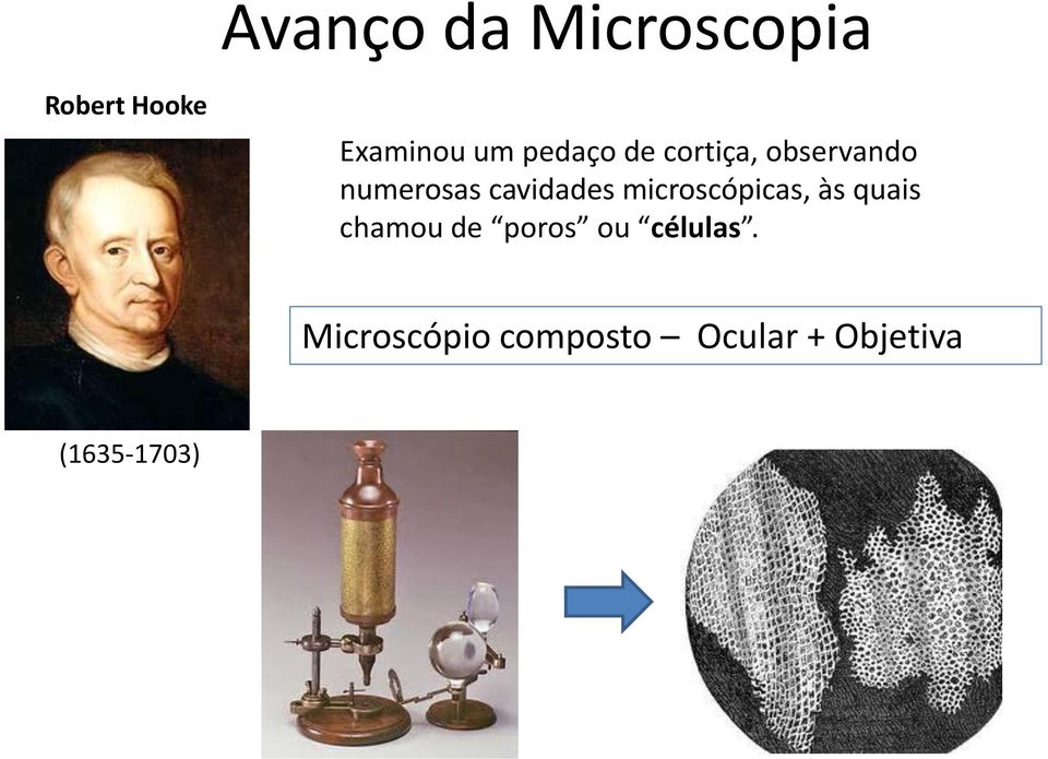 microscópicas, às quais chamou de poros ou