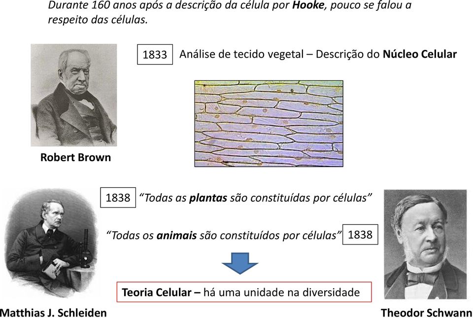 1833 Análise de tecido vegetal Descrição do Núcleo Celular Robert Brown 1838 Todas as