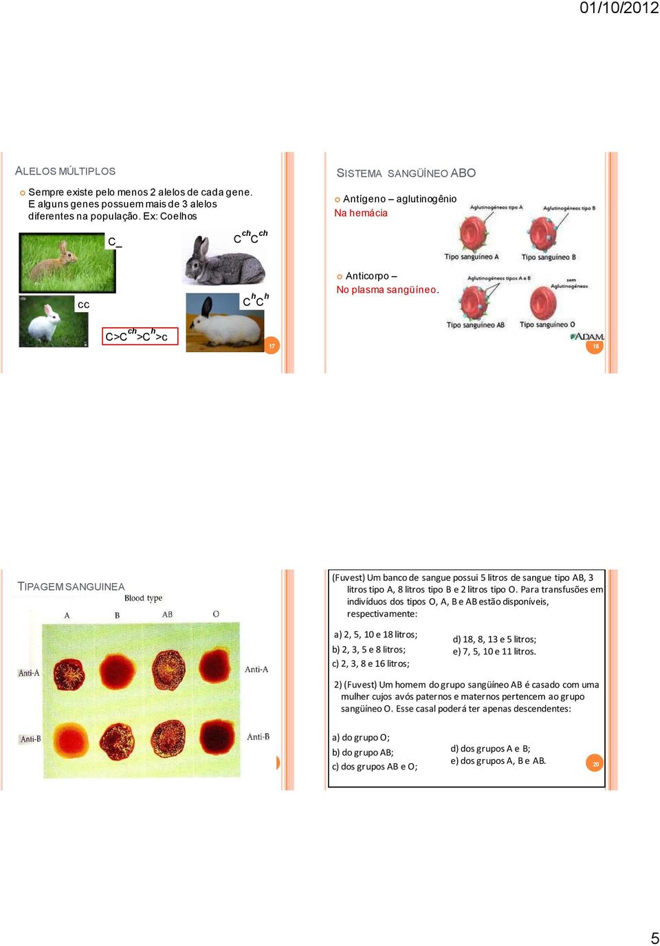 C>C ch >C h >c 7 8 TIPAGEM SANGUINEA (Fuvest) Um banco de sangue possui 5 litros de sangue tipo AB, litros tipo A, 8 litros tipo B e litros tipo O.