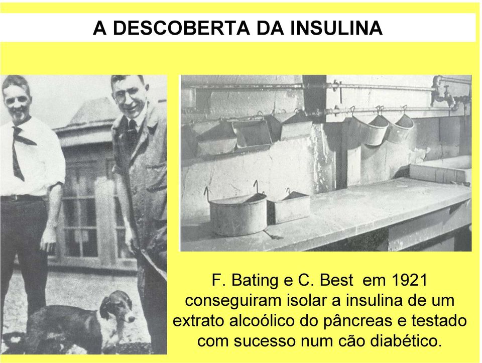 insulina de um extrato alcoólico do