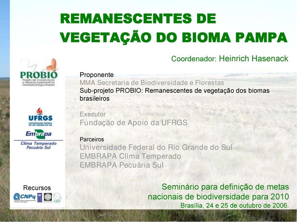 Heinrich Hasenack Parceiros Universidade Federal do Rio Grande do Sul EMBRAPA Clima Temperado EMBRAPA Pecuária